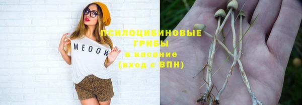 хмурый Абдулино
