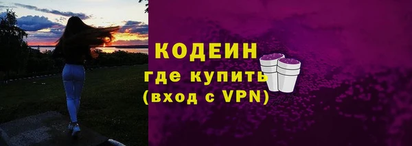 твердый Ельня